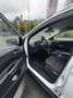Ford Kuga Trend - thumbnail 3