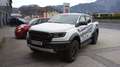 Ford Ranger Raptor Standheizung - thumbnail 3