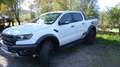 Ford Ranger Raptor Standheizung - thumbnail 8