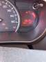 Suzuki Celerio Easy Bianco - thumbnail 4