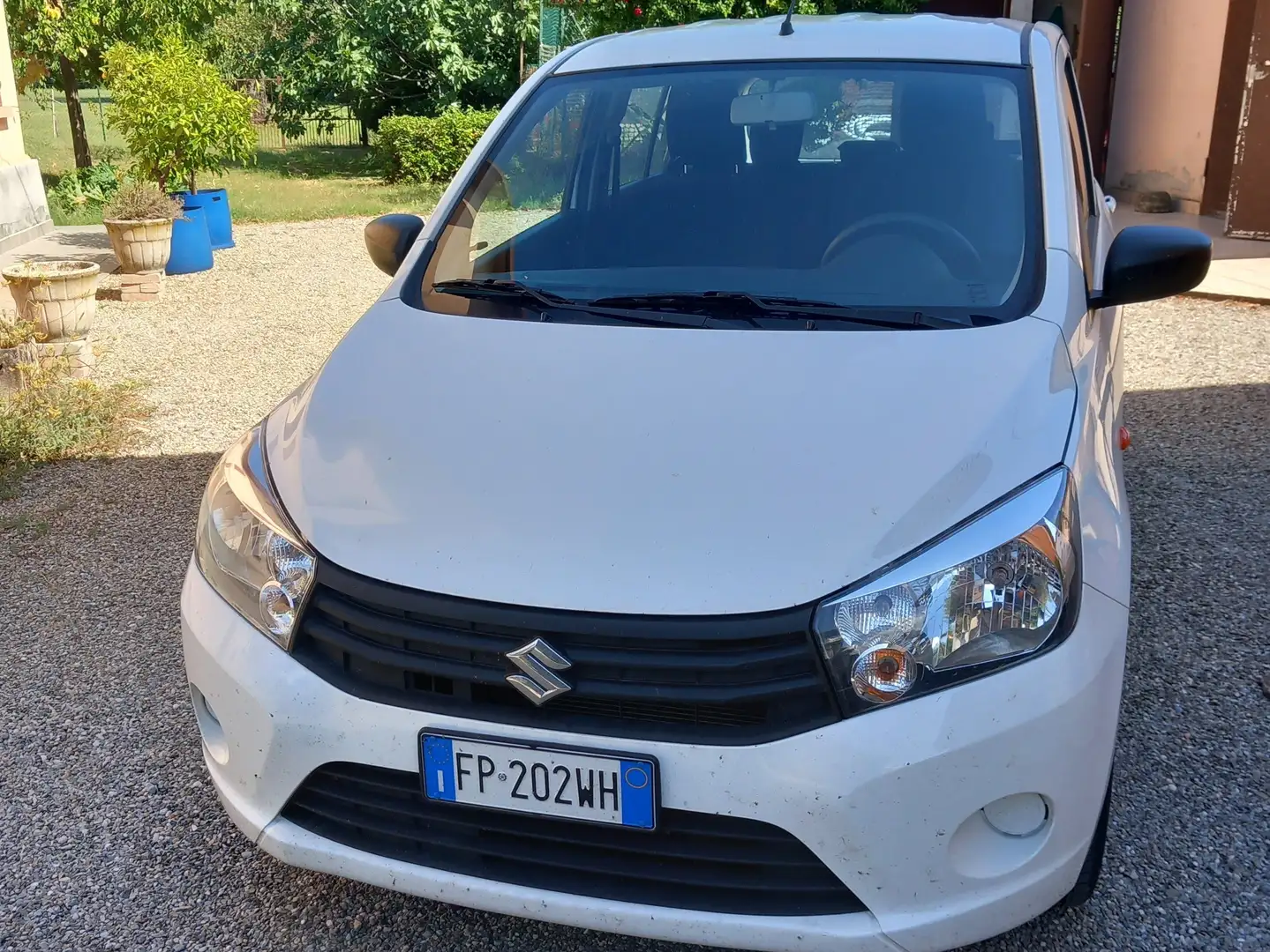 Suzuki Celerio Easy Bianco - 1