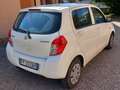 Suzuki Celerio Easy Bianco - thumbnail 5
