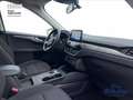 Ford Kuga 2.5 Plug In Hybrid 225 CV CVT 2WD Titanium Bianco - thumbnail 8