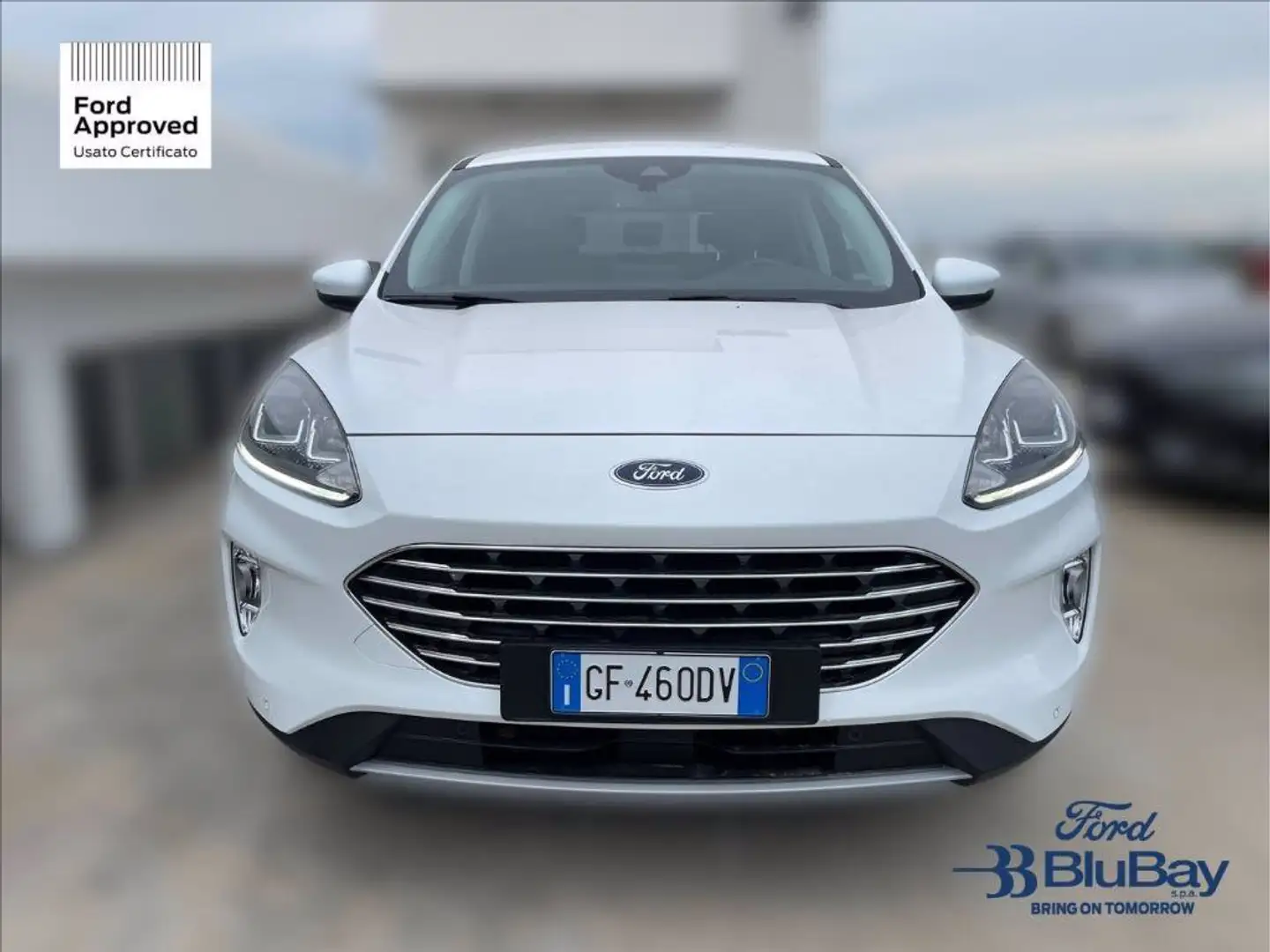 Ford Kuga 2.5 Plug In Hybrid 225 CV CVT 2WD Titanium Bianco - 2