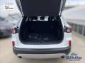 Ford Kuga 2.5 Plug In Hybrid 225 CV CVT 2WD Titanium Bianco - thumbnail 13