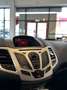 Ford Fiesta 1.25 Titanium | Cruise control | Climate control | Grijs - thumbnail 14
