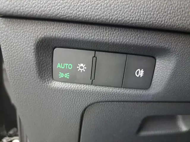Skoda Octavia view 10