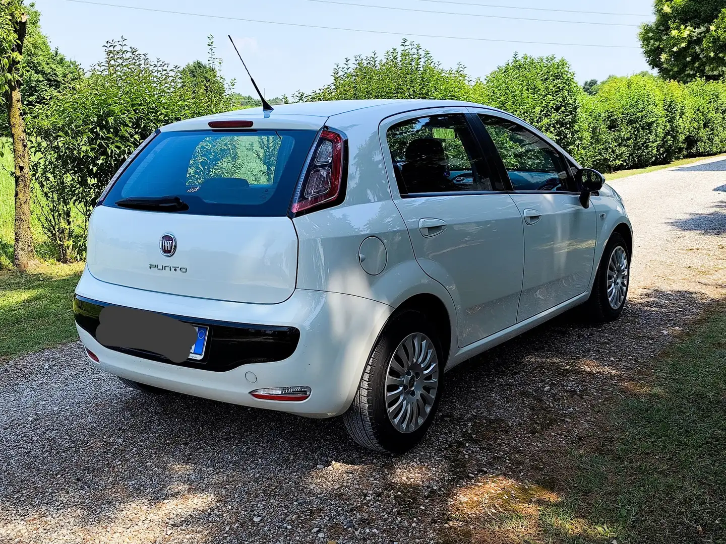Fiat Punto Evo 5p 1.3 mjt Active s&s 75cv - 1