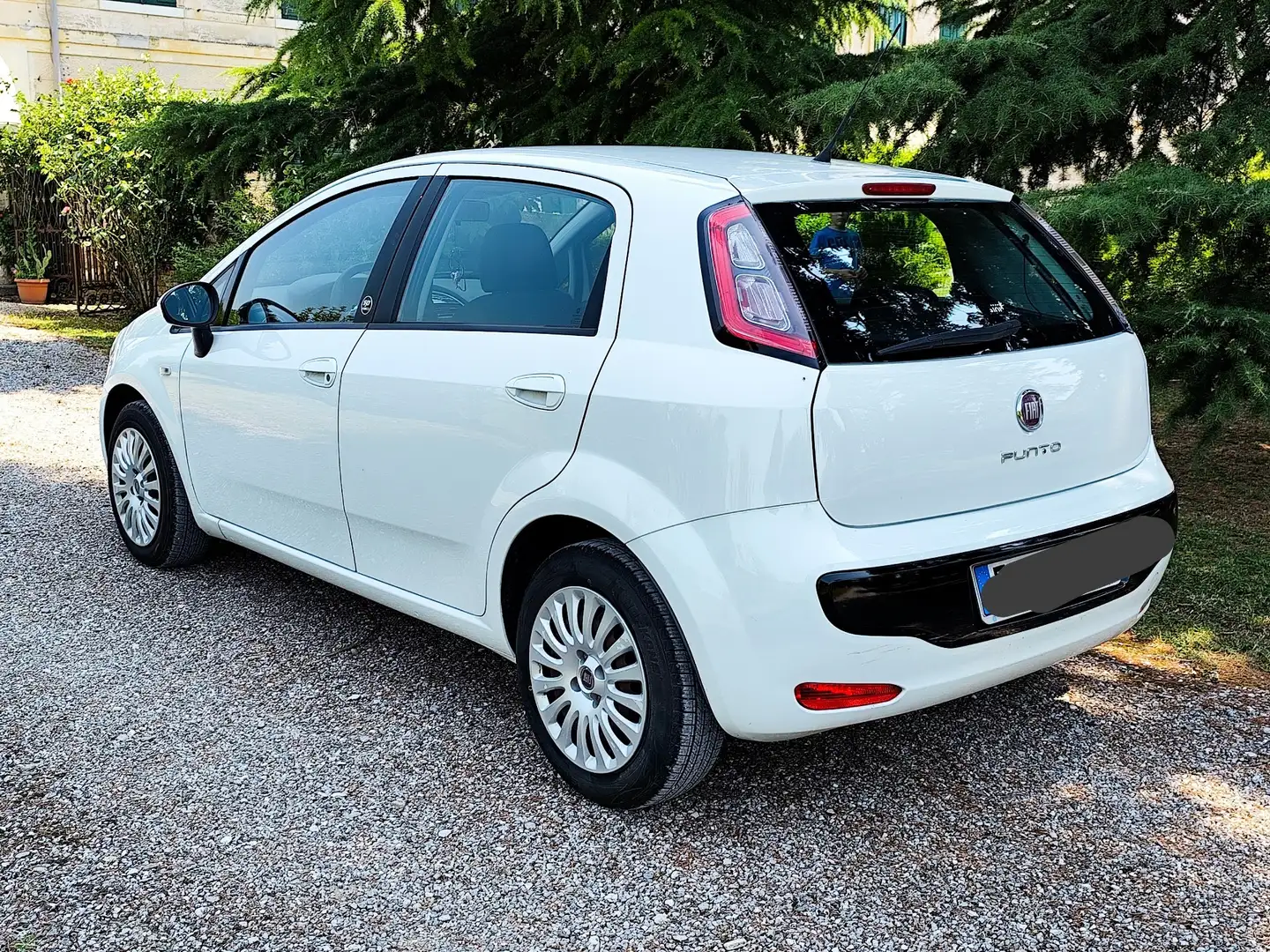 Fiat Punto Evo 5p 1.3 mjt Active s&s 75cv - 2