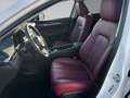 Mazda 6 2.5L SKYACTIV G 194PS 6AT FWD HOMURA SUNR Weiß - thumbnail 11