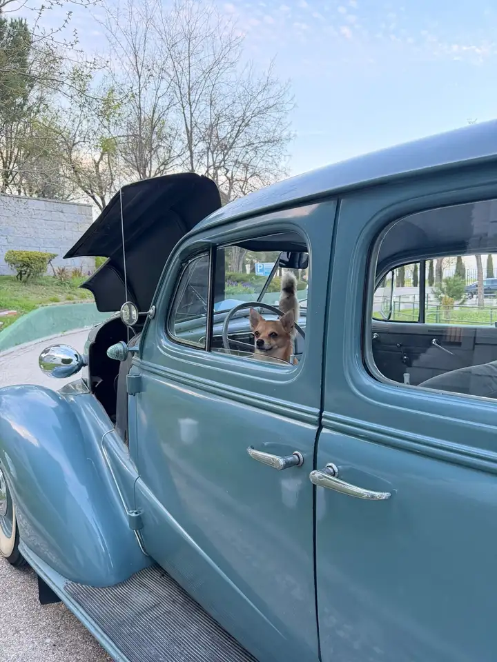 Chevrolet Master De Luxe, foto 9