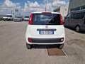 Fiat Panda 0.9 t.air t. 4x4 s&s 85CV My19  Autocarro VAN Bianco - thumbnail 5