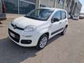 Fiat Panda 0.9 t.air t. 4x4 s&s 85CV My19  Autocarro VAN Bianco - thumbnail 1
