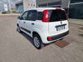 Fiat Panda 0.9 t.air t. 4x4 s&s 85CV My19  Autocarro VAN Bianco - thumbnail 4