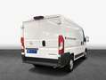 Opel Movano-e L1H1 (37-kWh) verstärkt Edition 90 kW, 4- Blanc - thumbnail 2