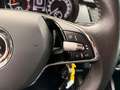 Skoda Fabia Ambition 44KW LED*NAV*SHZ*ACC*SMART LINK Grün - thumbnail 14
