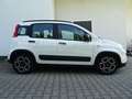 Fiat Panda 1,0 City Life/6-Gang/Klima/PDC/Sitzheizung Weiß - thumbnail 6