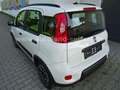 Fiat Panda 1,0 City Life/6-Gang/Klima/PDC/Sitzheizung Weiß - thumbnail 4