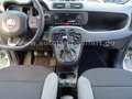Fiat Panda 1,0 City Life/6-Gang/Klima/PDC/Sitzheizung Weiß - thumbnail 15