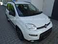 Fiat Panda 1,0 City Life/6-Gang/Klima/PDC/Sitzheizung Weiß - thumbnail 5