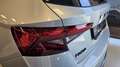Skoda Fabia 1.0 TSI EVO 95 CV Monte Carlo FINANZIAMENTO PCP T Argento - thumbnail 12