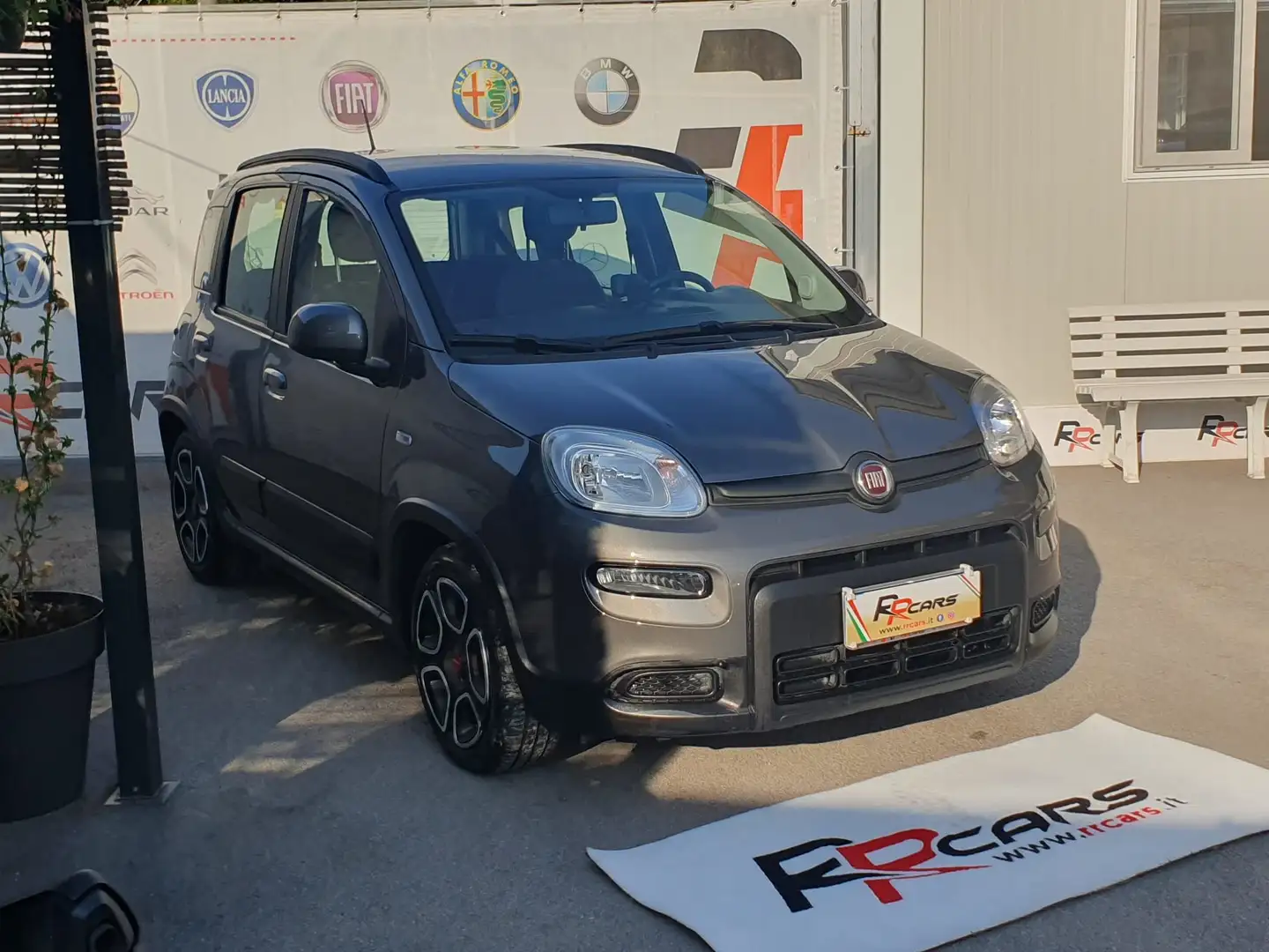 Fiat Panda Panda III 2021 1.0 firefly hybrid City Life s Grigio - 2
