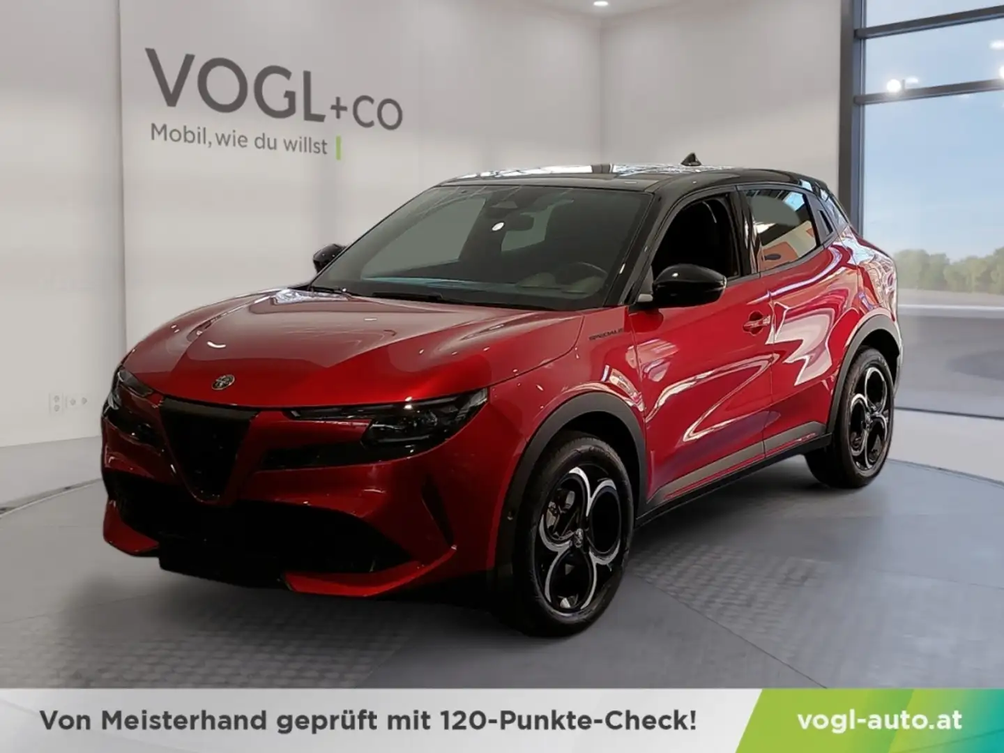 Alfa Romeo Junior Alfa Romeo Junior Ibrida Speciale Rot - 1