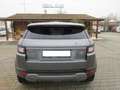 Land Rover Range Rover Evoque Range Rover Evoque 5p 2.0 td4 Pure 150cv auto Gris - thumbnail 4