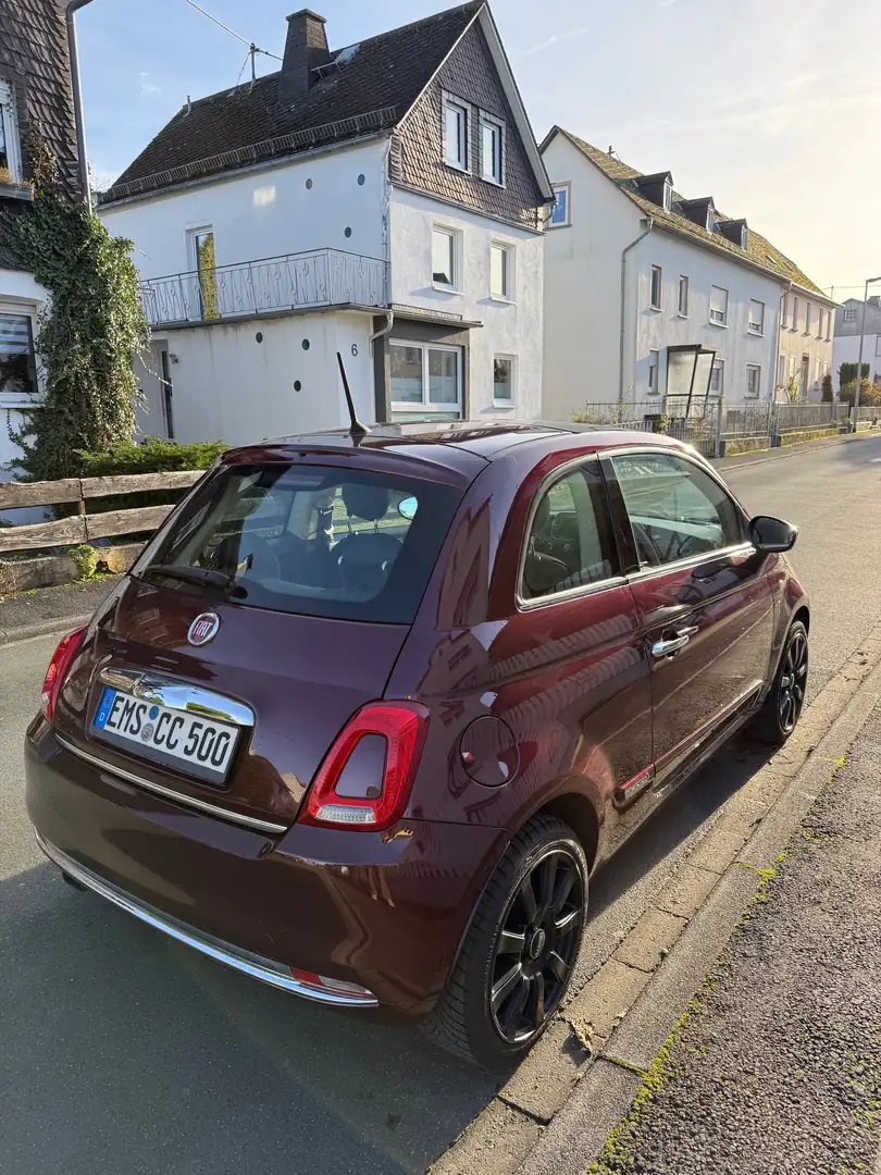 Fiat 500C 500C 1.2 8VLounge Violet - 2