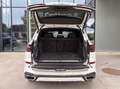 BMW X5 xDrive 50e M Sport - 22" | Keyless | HiFi Wit - thumbnail 24