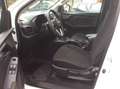 Isuzu D-Max 1.9 TD 163 SIMPLE CABINE 4X4 Blanc - thumbnail 6
