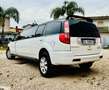 Great Wall Hover Hover 2.4 Luxury Gpl 4x2 Weiß - thumbnail 20