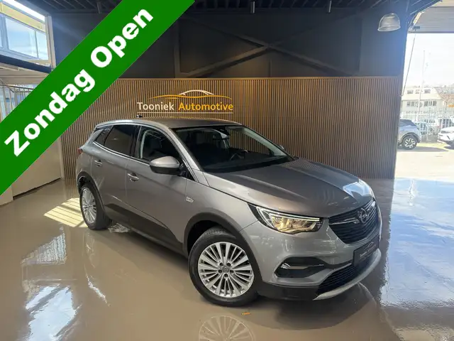 Opel Grandland 1.2 Turbo Business Edition X Navigatie 18 inch LMV