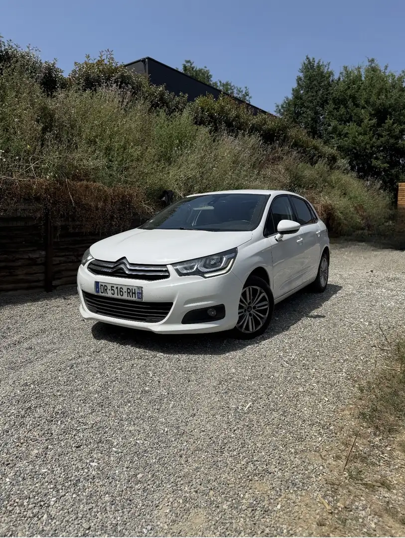 Citroen C4 SOCIETE BLUEHDI 100 MILLENIUM BUSINESS - 1