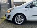 Opel Corsa 1.4-16V Cosmo CRUISE|AIRCO|PANO|EL.RAMEN|LMV|NAP Weiß - thumbnail 22