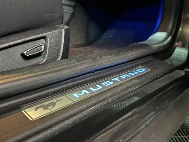 Ford Mustang view 13