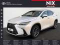 Lexus NX 450h+ E-FOUR Business KAMERA Blanc - thumbnail 1