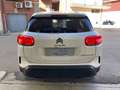 Citroen C5 Aircross 1.5 bluehdi 130CV EAT8 Business +COCKPIT-CAMERA Blanc - thumbnail 5