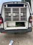 Volkswagen T5 Transporter 2.0 btdi 4x4 trasporto cani Bianco - thumbnail 5