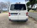 Volkswagen T5 Transporter 2.0 btdi 4x4 trasporto cani Bianco - thumbnail 4