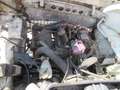DAF Wit - thumbnail 9