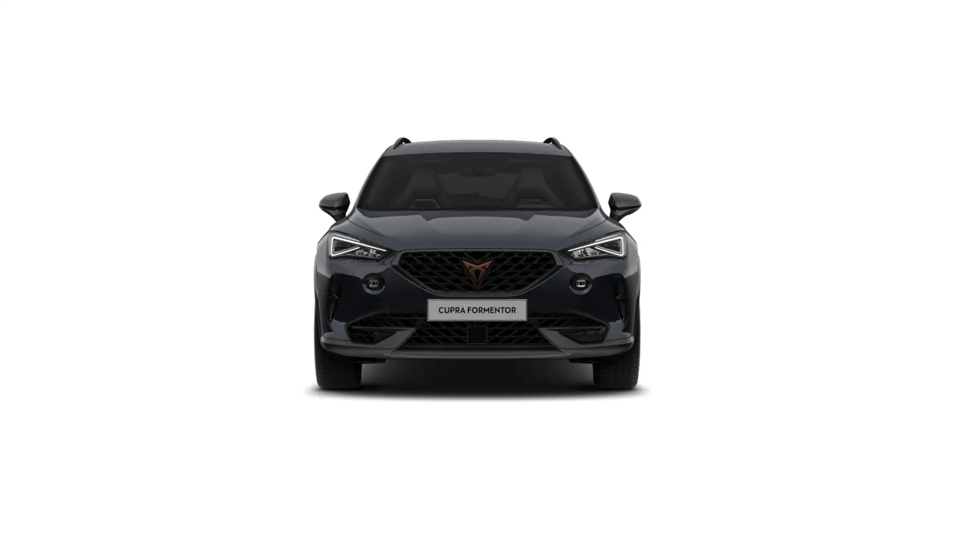 CUPRA Formentor VZ 2.0 TSI 7-Gang DSG Gris - 2