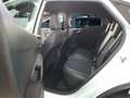 Ford Puma ST-Line X 1.0 Hybrid °LED°AHK°SHZ°Keyless° Blanc - thumbnail 8