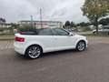 Audi A3 Cabriolet Ambition*1.4*Standheizung*Aux Weiß - thumbnail 16