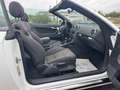 Audi A3 Cabriolet Ambition*1.4*Standheizung*Aux Weiß - thumbnail 19