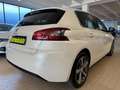 Peugeot 308 BlueHDi 130 S&S Allure Unico Prop. Bianco - thumbnail 7