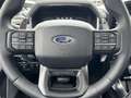 Ford F 150 RAPTOR 3.5 V6 High Output SuperCrew Rouge - thumbnail 19