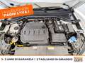 Volkswagen T-Roc 2.0 tdi life 115cv White - thumbnail 14