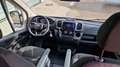 Opel Movano 9 Sitzer Fiat Ducato Lagerfahrzeug Stock - thumbnail 49