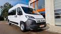 Opel Movano 9 Sitzer Fiat Ducato Lagerfahrzeug Stock - thumbnail 47